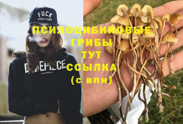 винт Алексеевка
