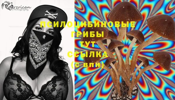 каннабис Абаза