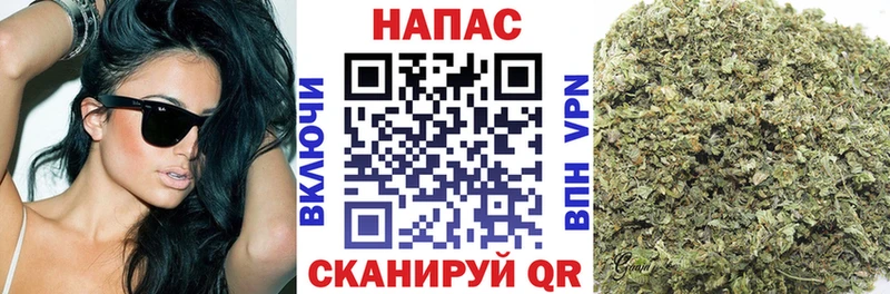 Конопля планчик  как найти   Златоуст 